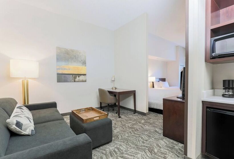 فندق Springhill Suites By Marriott Yuma