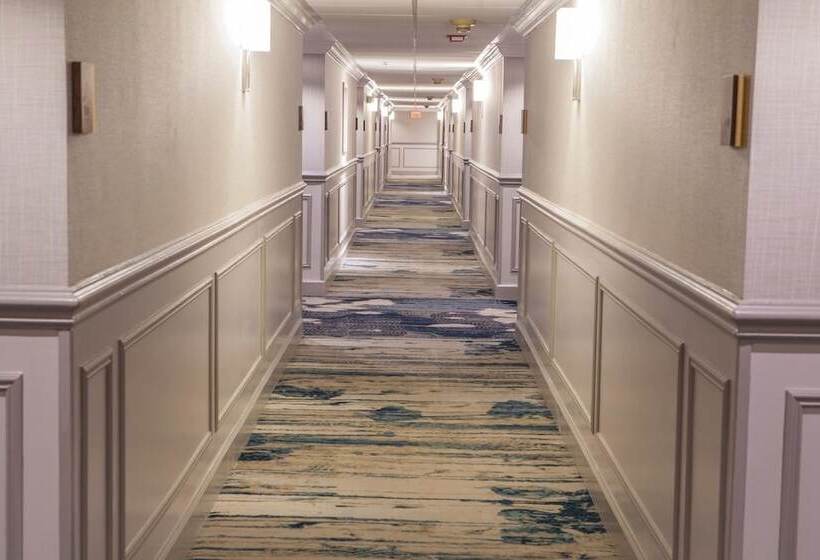 Отель The Kensington