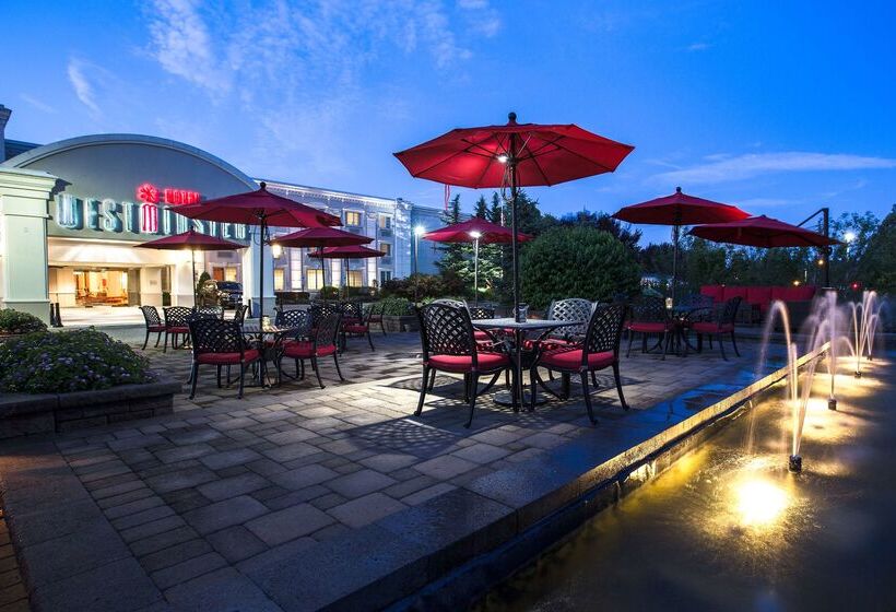 فندق Westminster