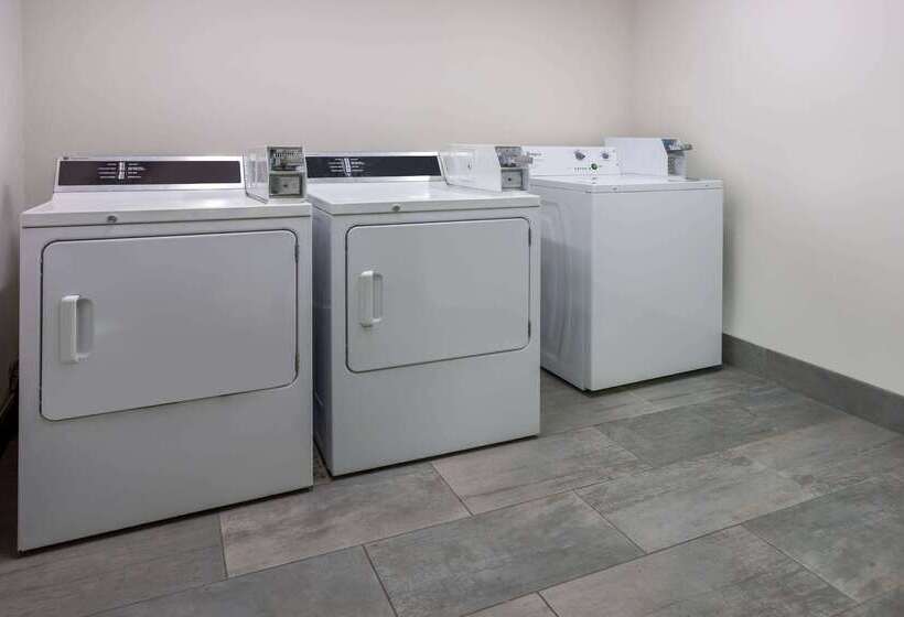 酒店 Wingate By Wyndham Atlanta Galleria/ Ballpark