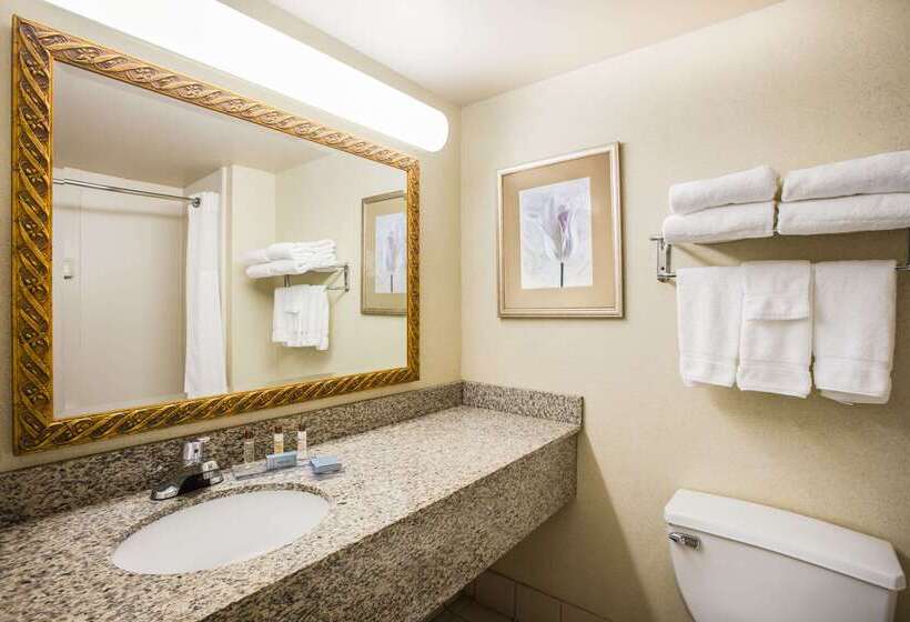 酒店 Wingate By Wyndham Atlanta Galleria/ Ballpark