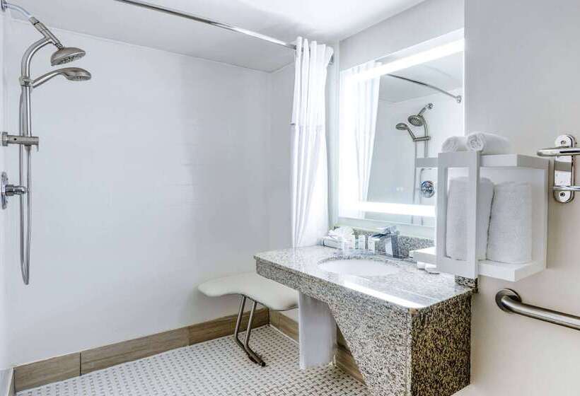 酒店 Wingate By Wyndham Atlanta Galleria/ Ballpark