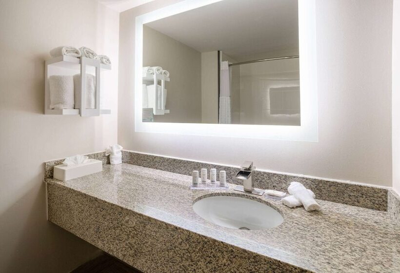 酒店 Wingate By Wyndham Atlanta Galleria/ Ballpark