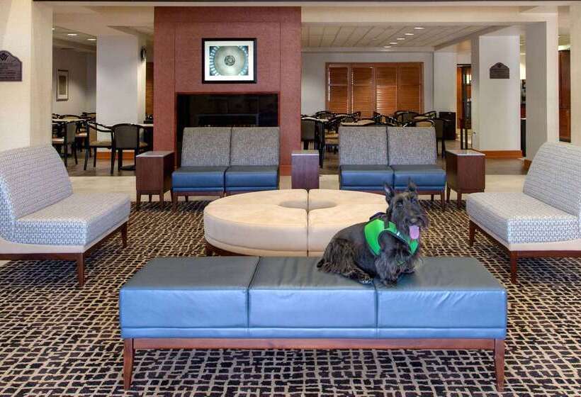 Отель Wingate By Wyndham Dulles International