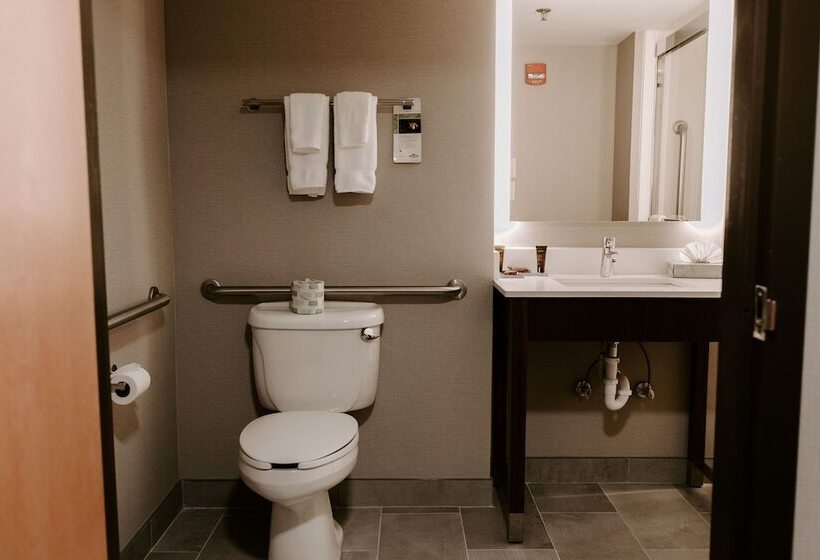 Отель Wingate By Wyndham Dulles International