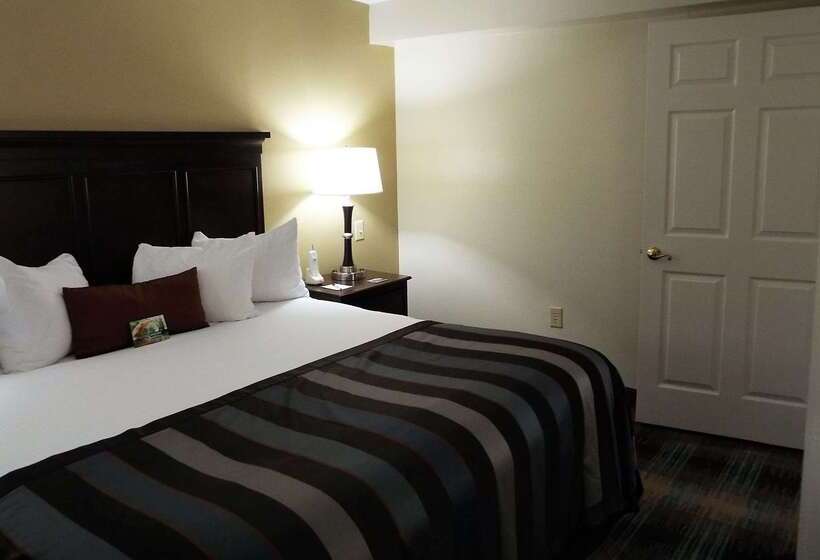 هتل Spark By Hilton Greensboro