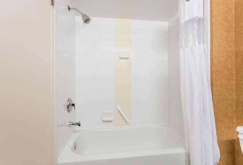 ホテル Wingate By Wyndham Greenville Airport