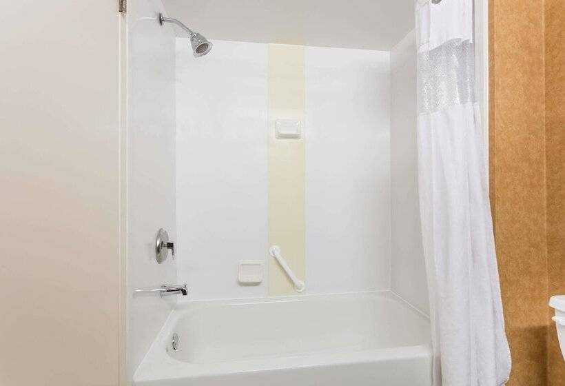 ホテル Wingate By Wyndham Greenville Airport