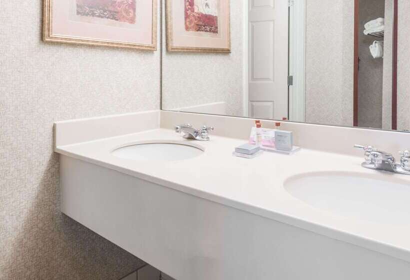 בית מלון כפרי Wingate By Wyndham Airport   Rockville Road