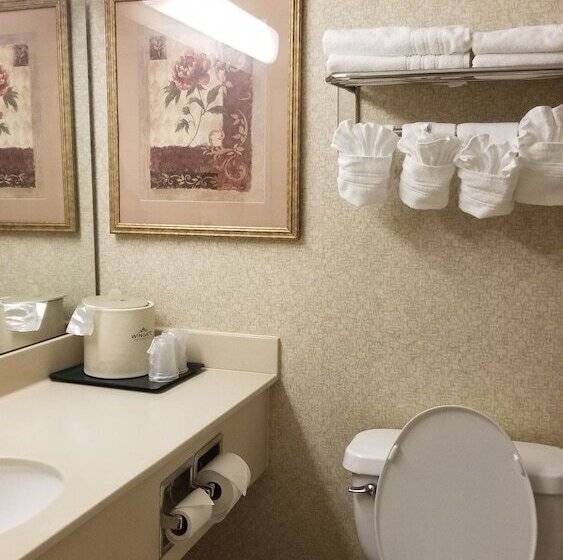 בית מלון כפרי Wingate By Wyndham Airport   Rockville Road