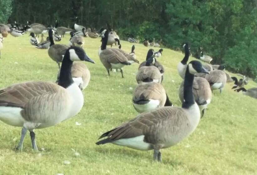 ホテル Wingate By Wyndham Montgomery