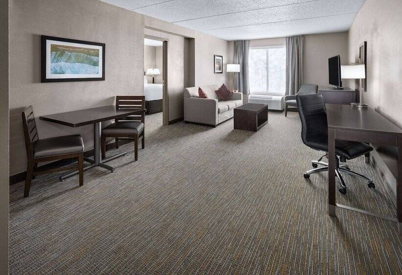 ホテル La Quinta Inn & Suites By Wyndham Mooresville