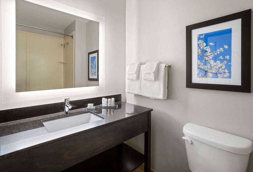 ホテル La Quinta Inn & Suites By Wyndham Mooresville