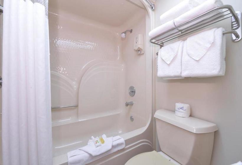 فندق على الطريق Ramada By Wyndham Branson