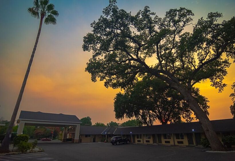 فندق على الطريق Safari Inn  Chico