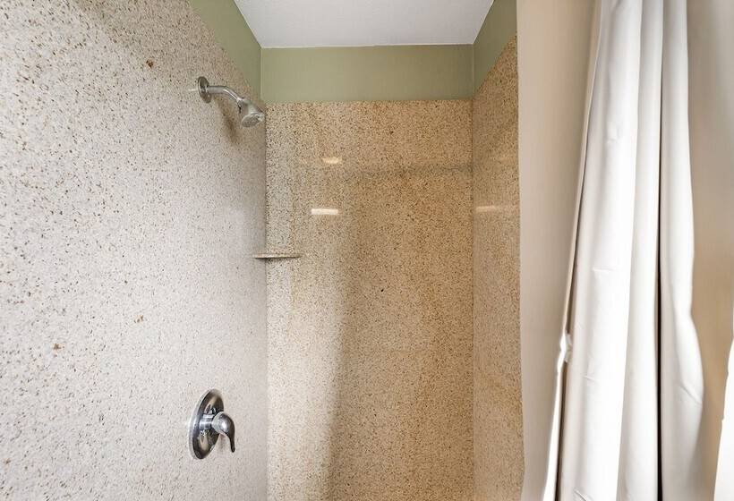 فندق على الطريق Safari Inn  Chico