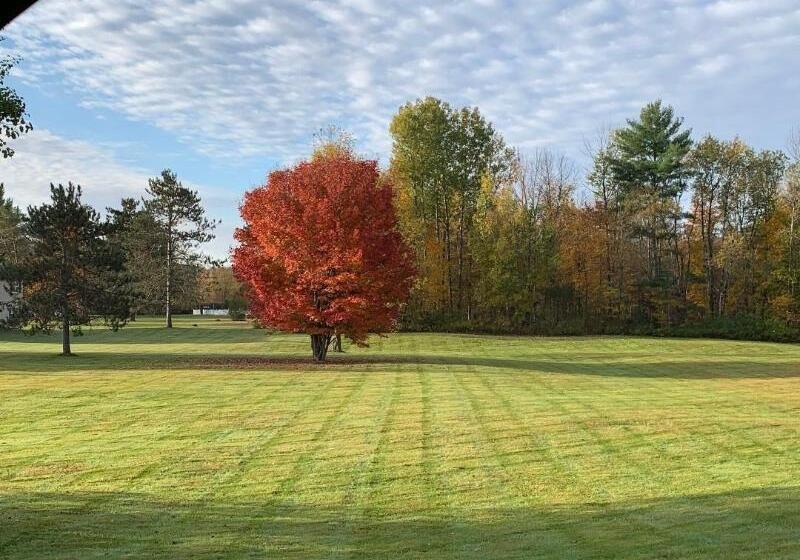 Stowe Motel & Snowdrift