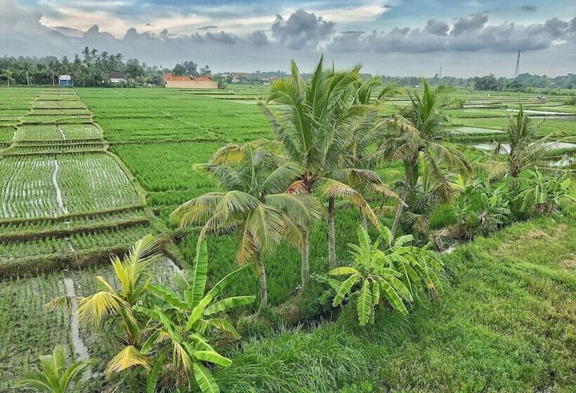 הוסטל Swell Hotel, Pool Bar & Restaurant