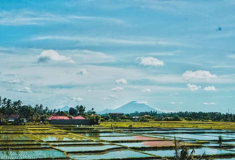 הוסטל Swell Hotel, Pool Bar & Restaurant