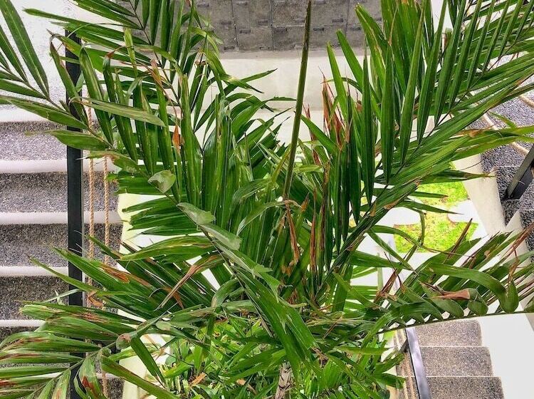 הוסטל Swell Hotel, Pool Bar & Restaurant