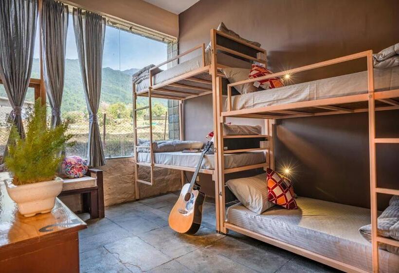 Общежитие Zostel Plus Bir