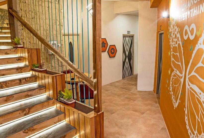 Общежитие Zostel Plus Bir