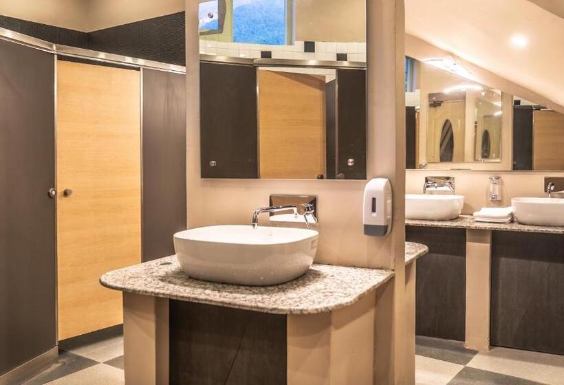 Общежитие Zostel Plus Bir