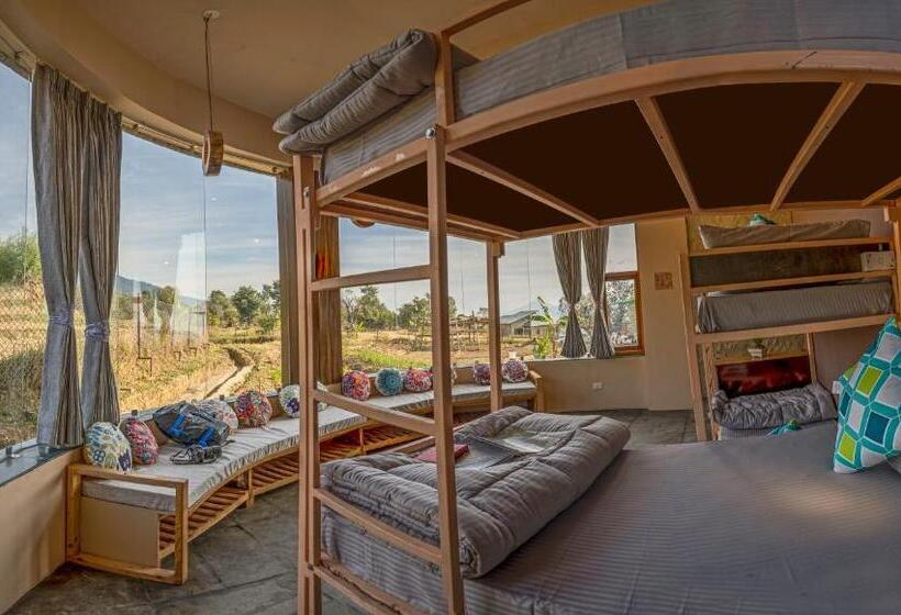 Общежитие Zostel Plus Bir