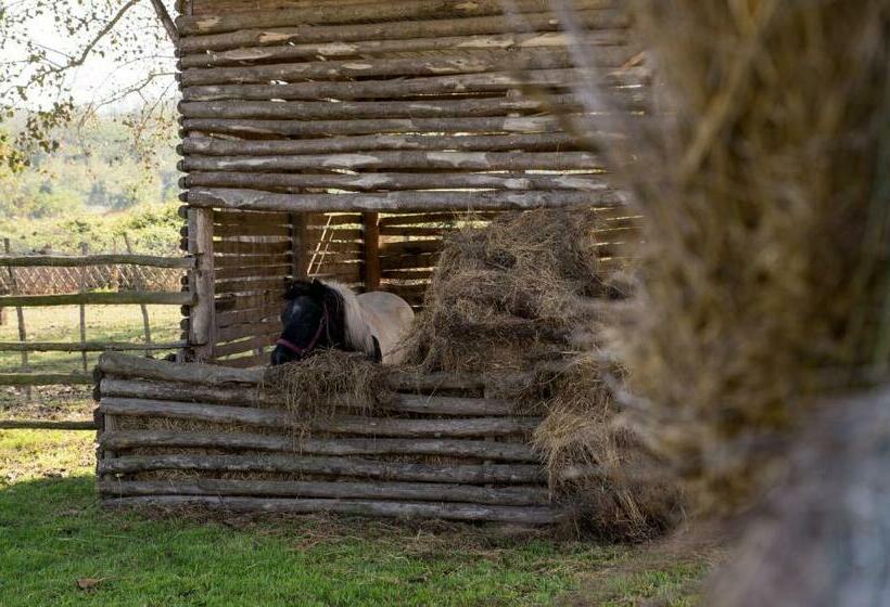 住宿加早餐  Country House Nonno Andrea