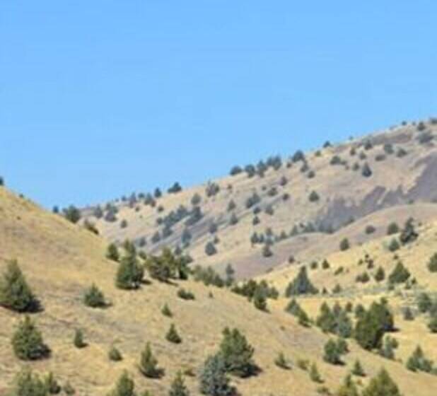 Bed and Breakfast Wilson Ranches Retreat