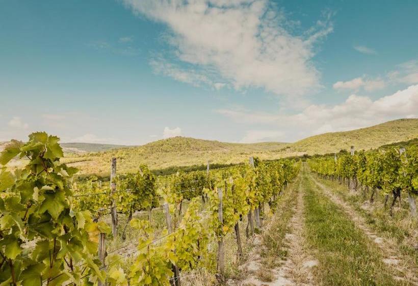 צימר Zsadányi Vendégház