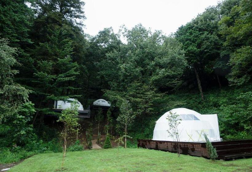 Bio Resort Hotel & Spa O Park Ogose