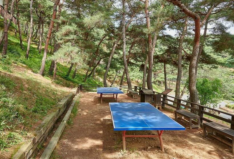 Club Es Jecheon Resort