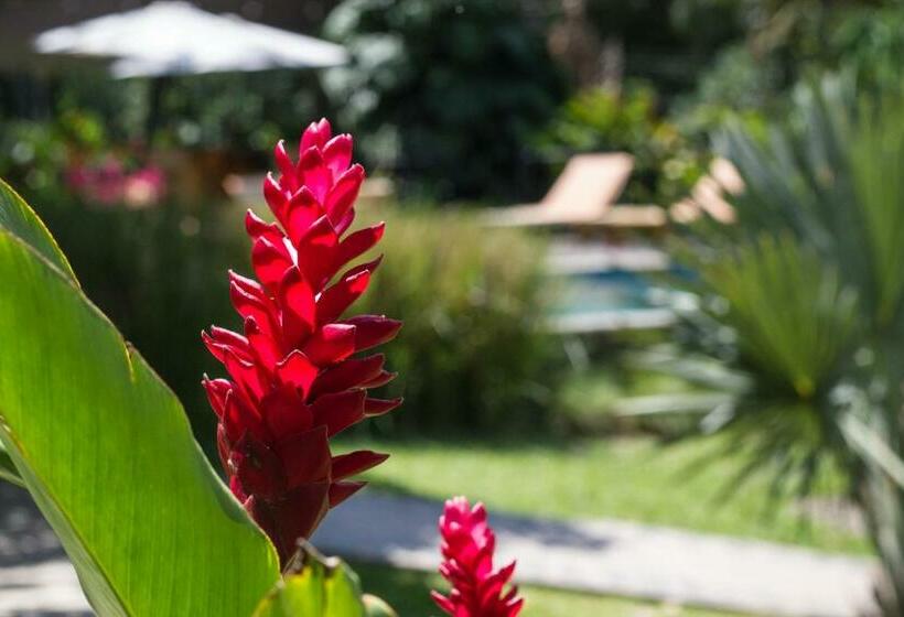 Guácima Escondida Hotel Boutique