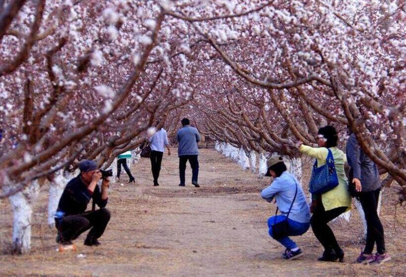 בית מלון כפרי 7days Inn Turpan Dashizi