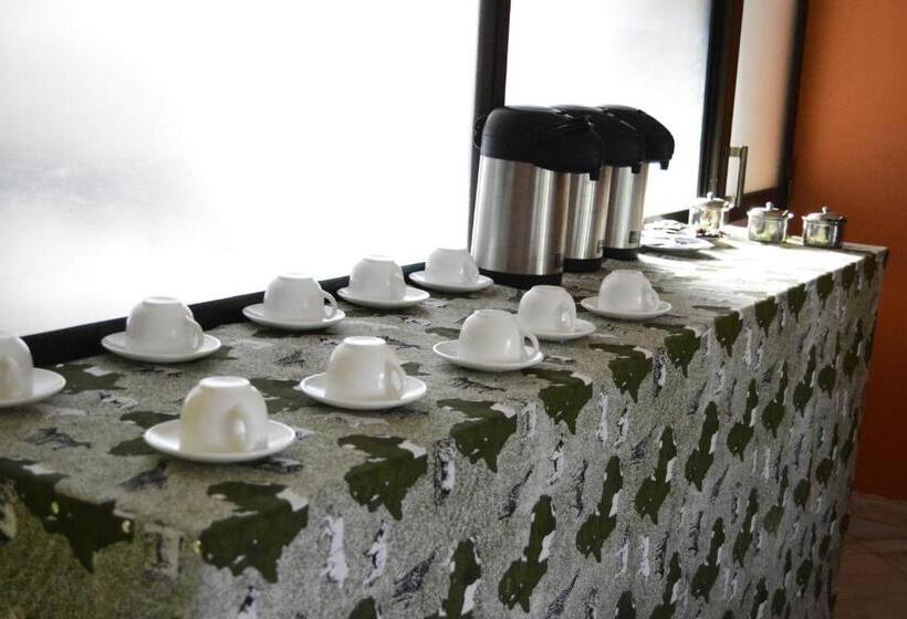 酒店 Africa Lodge Arusha