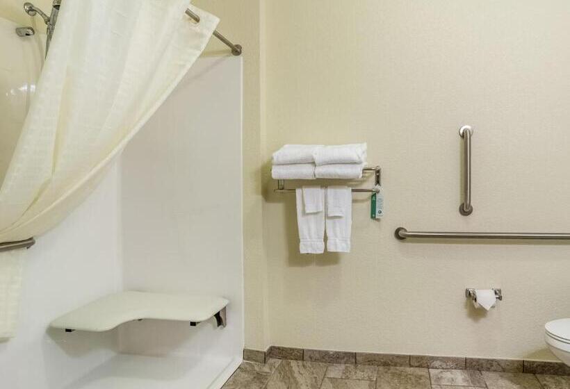 酒店 Comfort Inn & Suites Morgan