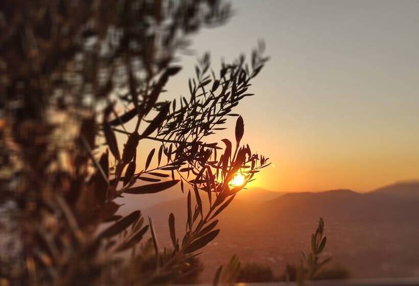 فندق Dimora Marella Patrica   Frosinone