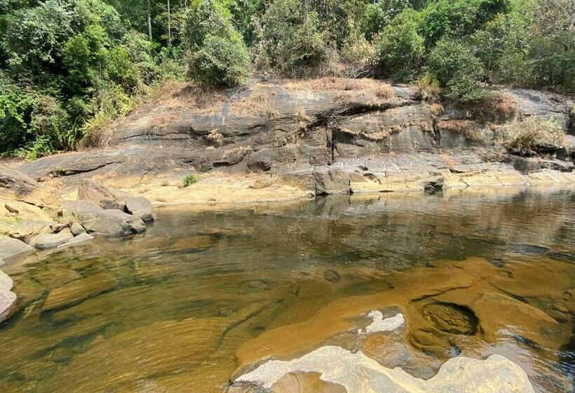 فندق Forest Shade Eco Resort