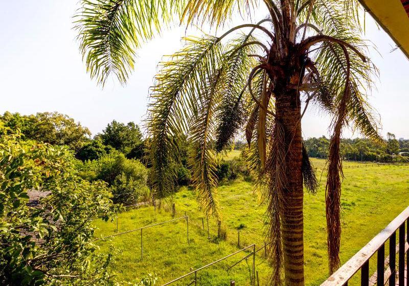 호텔 Caminhos De Nazaré