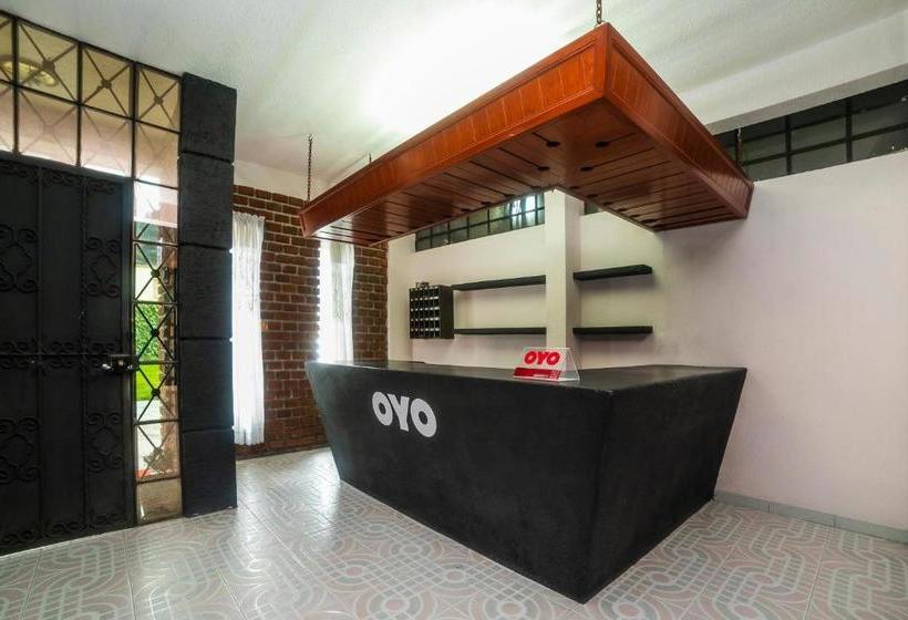 فندق Meson Del Tio Pepe