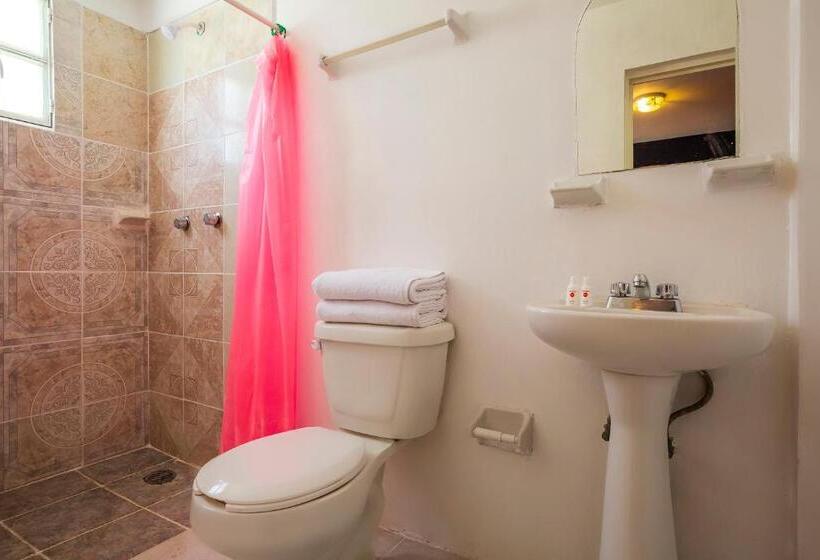 호텔 Oyo Rey David