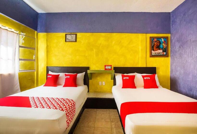 فندق Oyo  Rey David