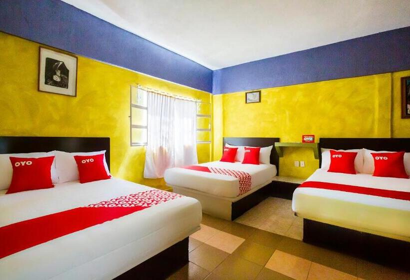 فندق Oyo  Rey David
