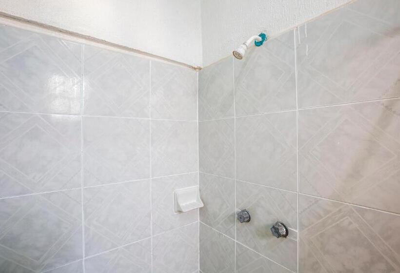 호텔 Oyo Rey David