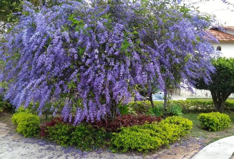 酒店 Pousada Ecológica Das Bromélias
