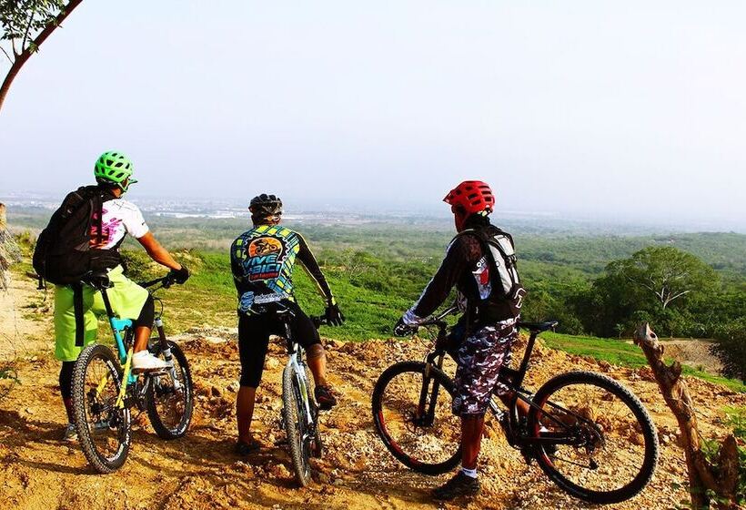 ホテル Restaurante Selva Negra