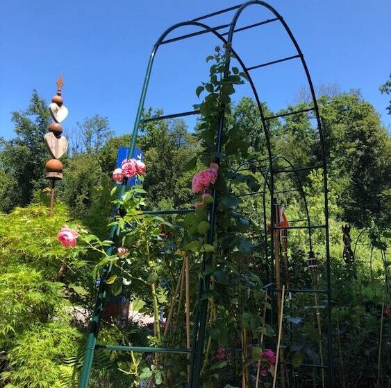 Отель Swiss Star Home