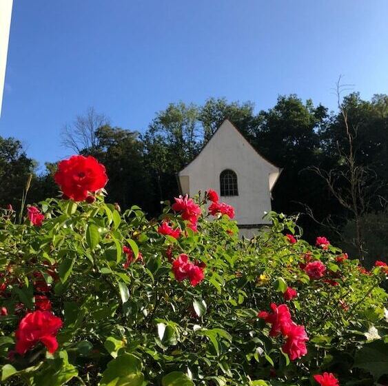 Отель Swiss Star Home