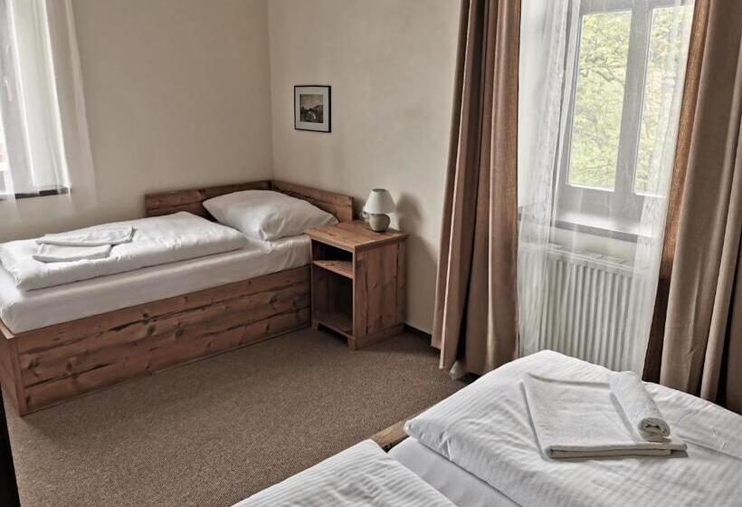 Отель švýcarský Dům